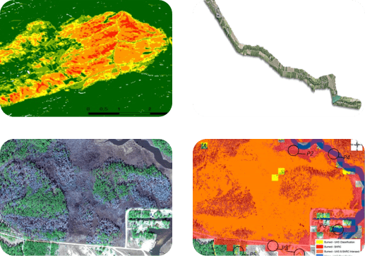 Mapping and analytical dpr services for forest fire