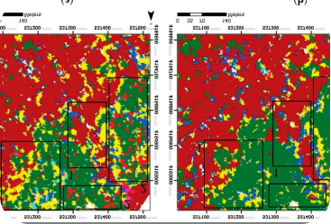 MAPPING AND ANALYTICAL DPR SERVICES