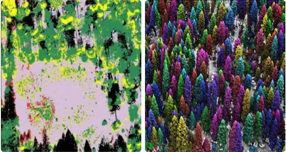 Multispectral and Hyperspectral based services for Forestry