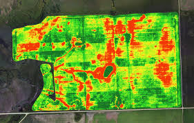 Quantifying Crop Trends with Drones and Accurate NDVI Mapping